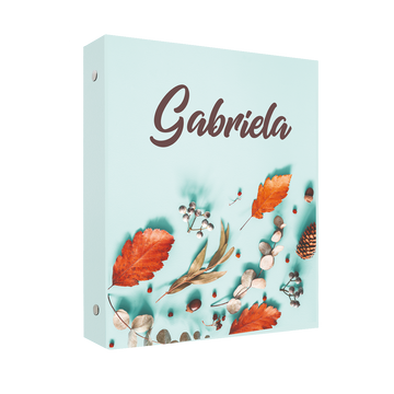 Carpeta AUT 12
