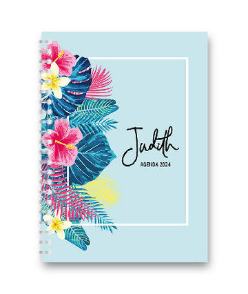 Agenda FRE 35