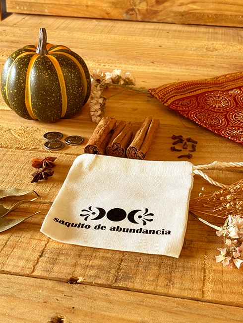 Diario de Manifestación