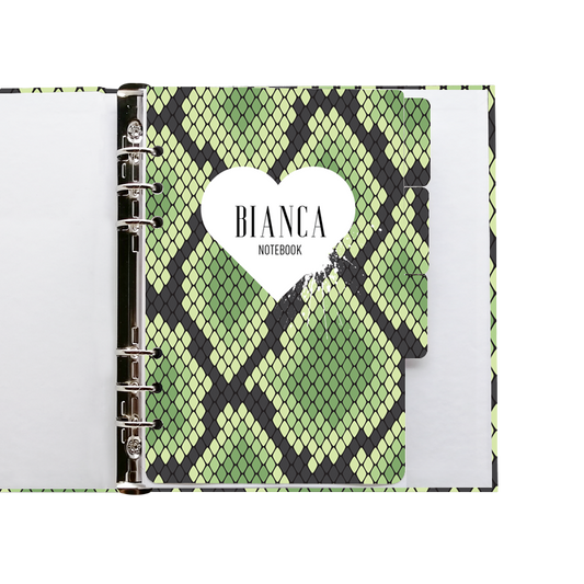 Carpeta ANI 03