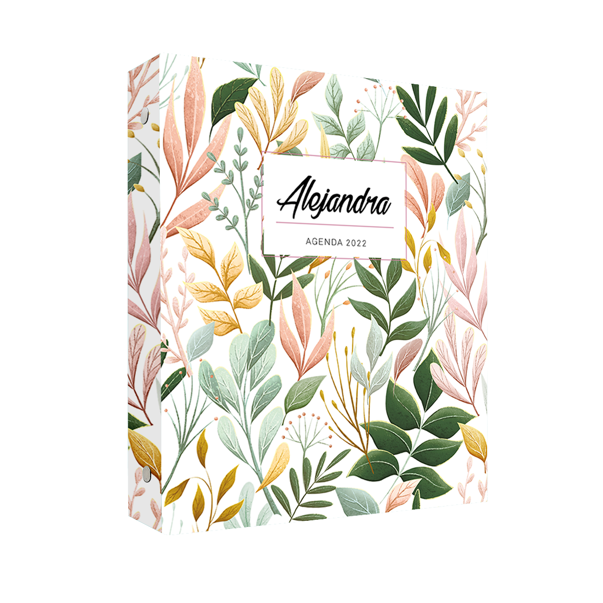 Carpeta AUT 10