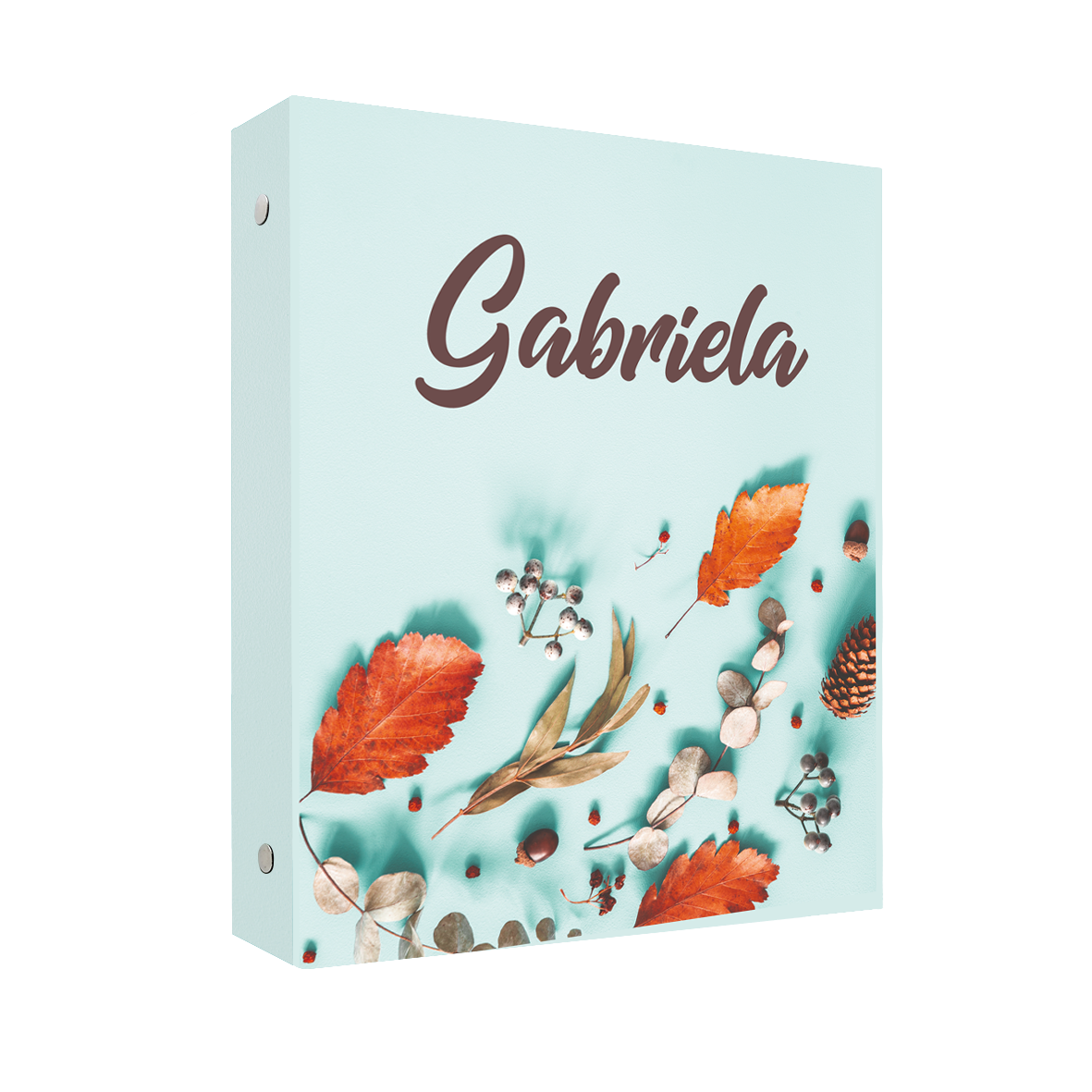 Carpeta AUT 12