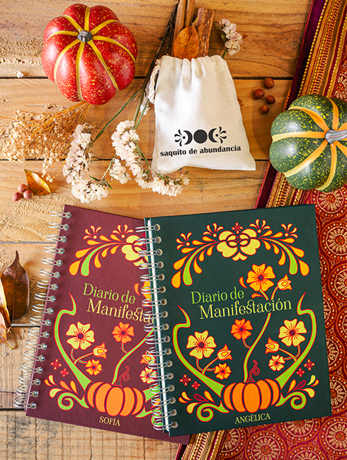 Diario de Manifestación