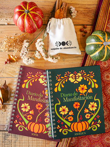 Diario de Manifestación