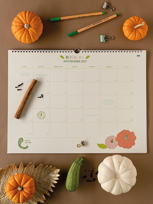 Planeador Anual Pumpkin