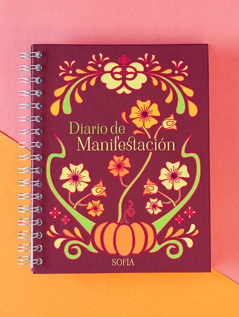 Diario de Manifestación
