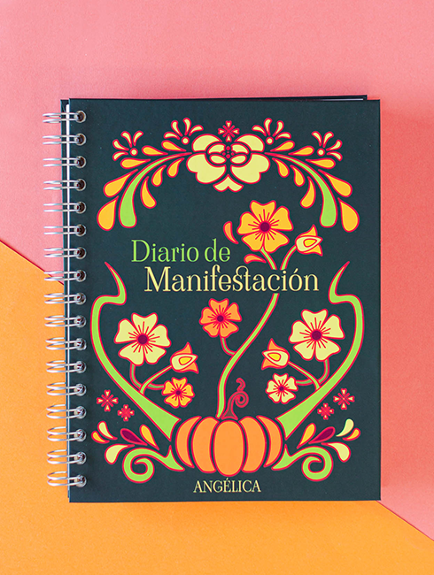Diario de Manifestación